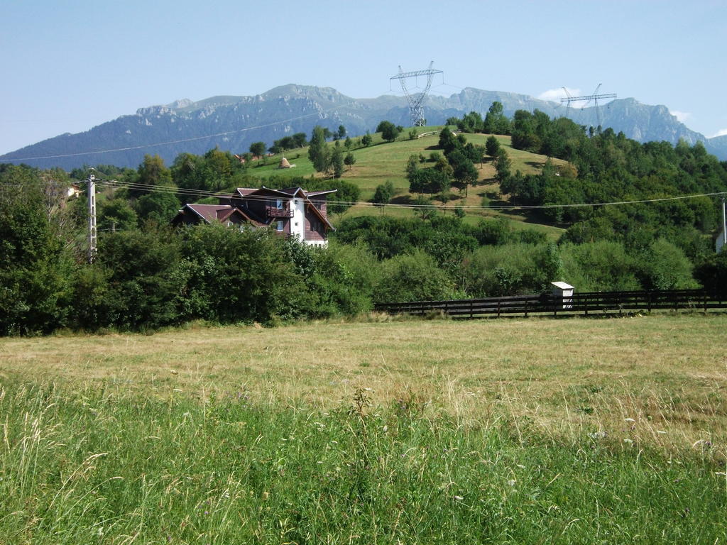 Pensiunea Mir Bran  Exterior foto